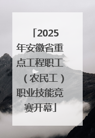 2025年安徽省重点工程职工（农民工）职业技能竞赛开幕